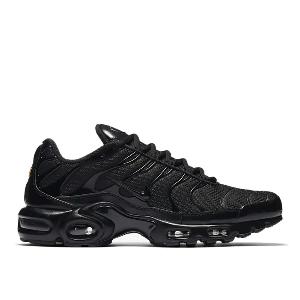 Asli & Ready Nike Air Max Plus Triple Black