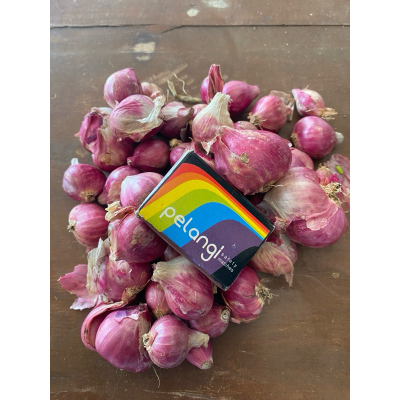 

Bawang Merah 1kg SUPER CROSS Melayani Partai