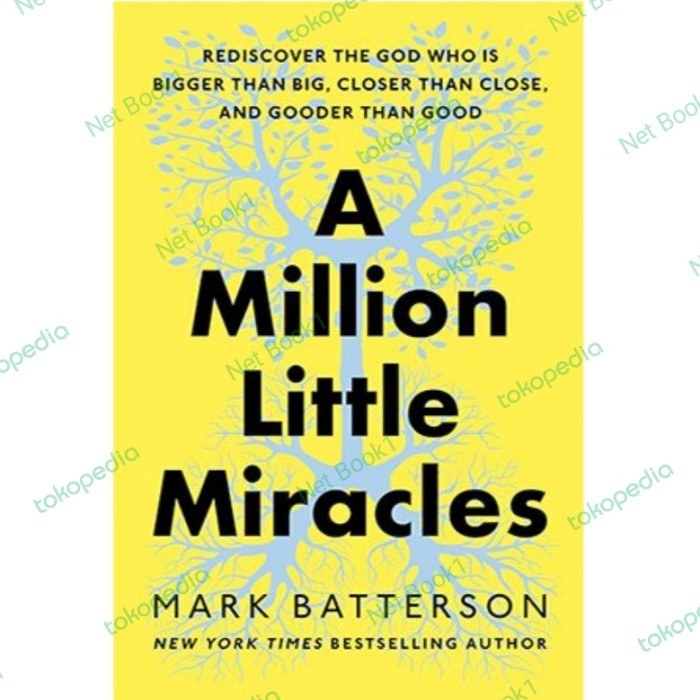 A Million Little Miracles: Rediscover the God Who Is Bigger Than Big,