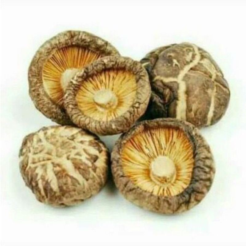 

JAMUR SHITAKE SEDANG/ HIUKO 100gr