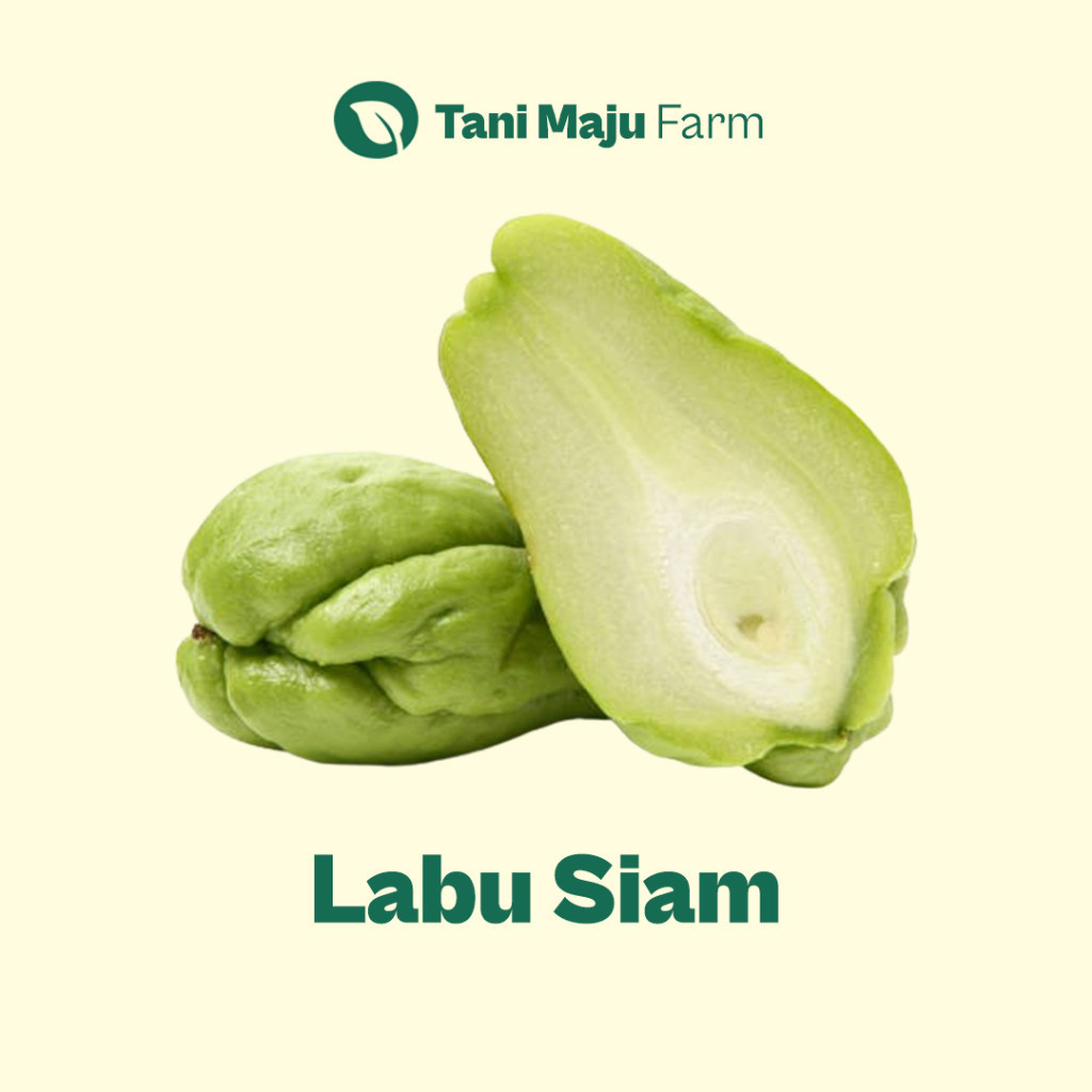 

Labu Siam Manisa Chayote Fresh Organik (500 gram) - INSTANT / SAMEDAY - Sayuran BRKAH