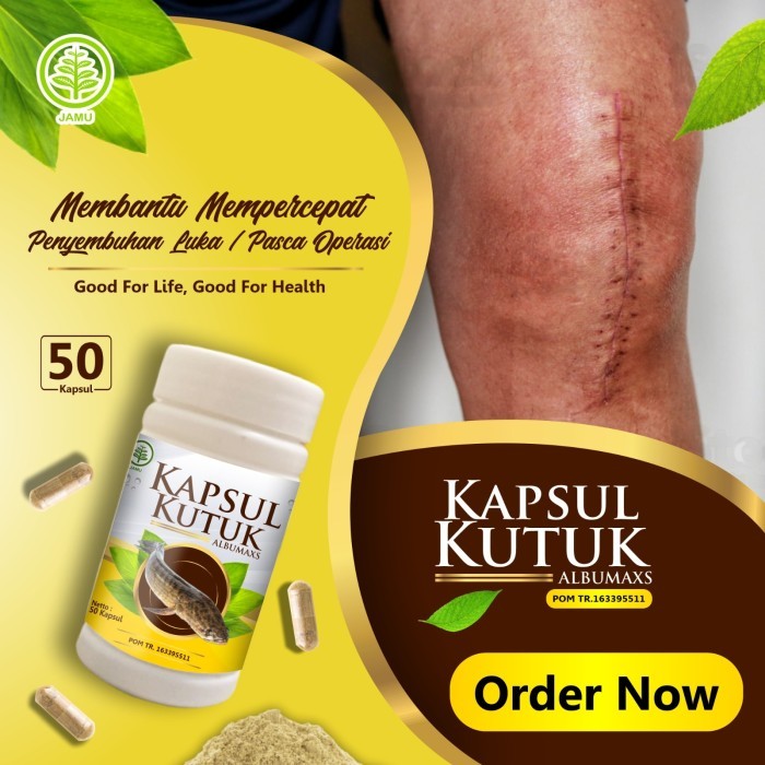 

TERLARIS Kapsul Ekstrak Albumin Ikan Gabus Kutuk Albumaxs Original BPOM