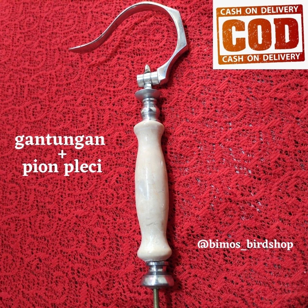 TERMURAH GANTUNGAN SANGKAR BURUNG PLECI PLUS PION PLECI CANTOLAN SANGKAR PLECI KANDANG PLECI KOLIBRI