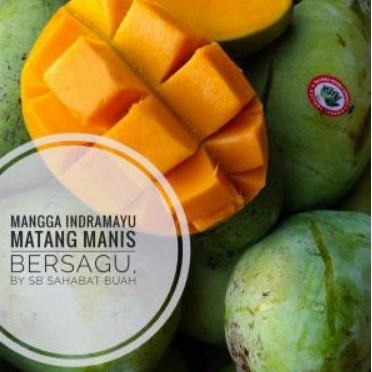 

BUAH MANGGA INDRAMAYU MATANG MANIS UDBUAH 3 SAUDARA