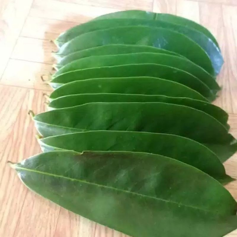 

New Promo daun sirsak segar/freshper 250gr COD (B_S)