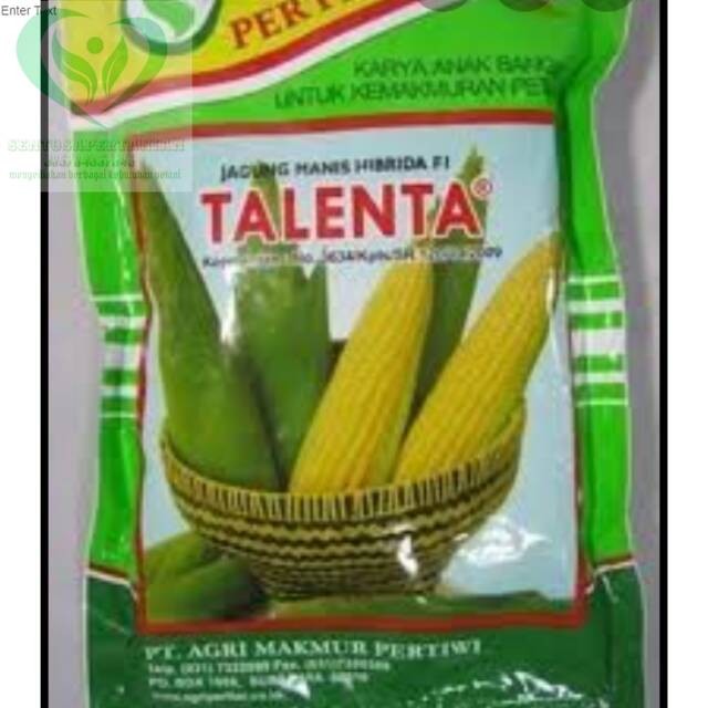 PROMO benih jagung manis TALENTA