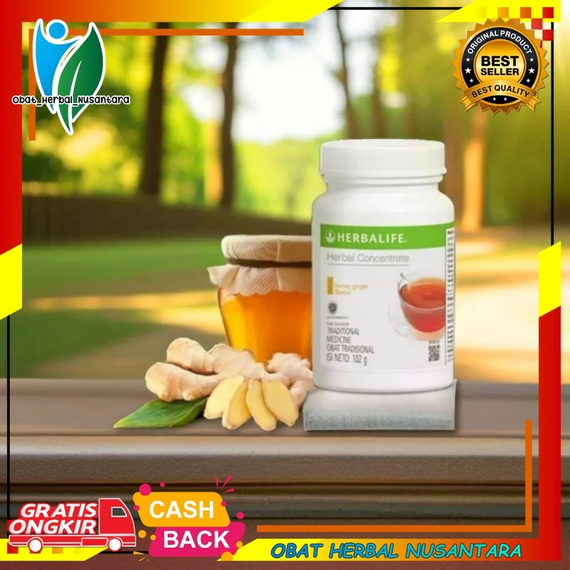 HERBALIFE TEA CONCENTRA TE HOMEY GINGER THEMO PELANGSING BADAN ASLI ORIGINAL Green Tea Teh Pelangsin