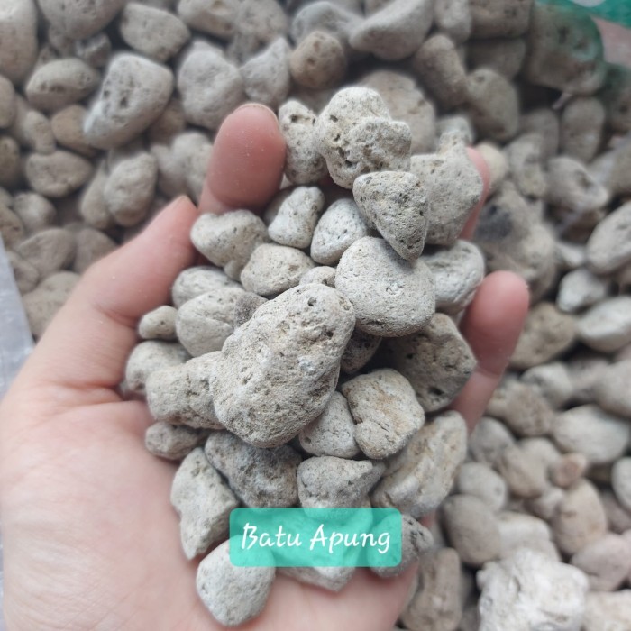 Batu Apung Filter Aquarium Kolam