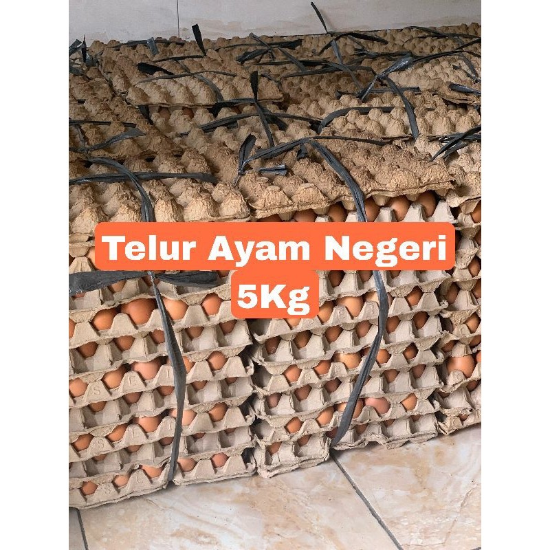 

Telur Ayam Negeri 5Kg