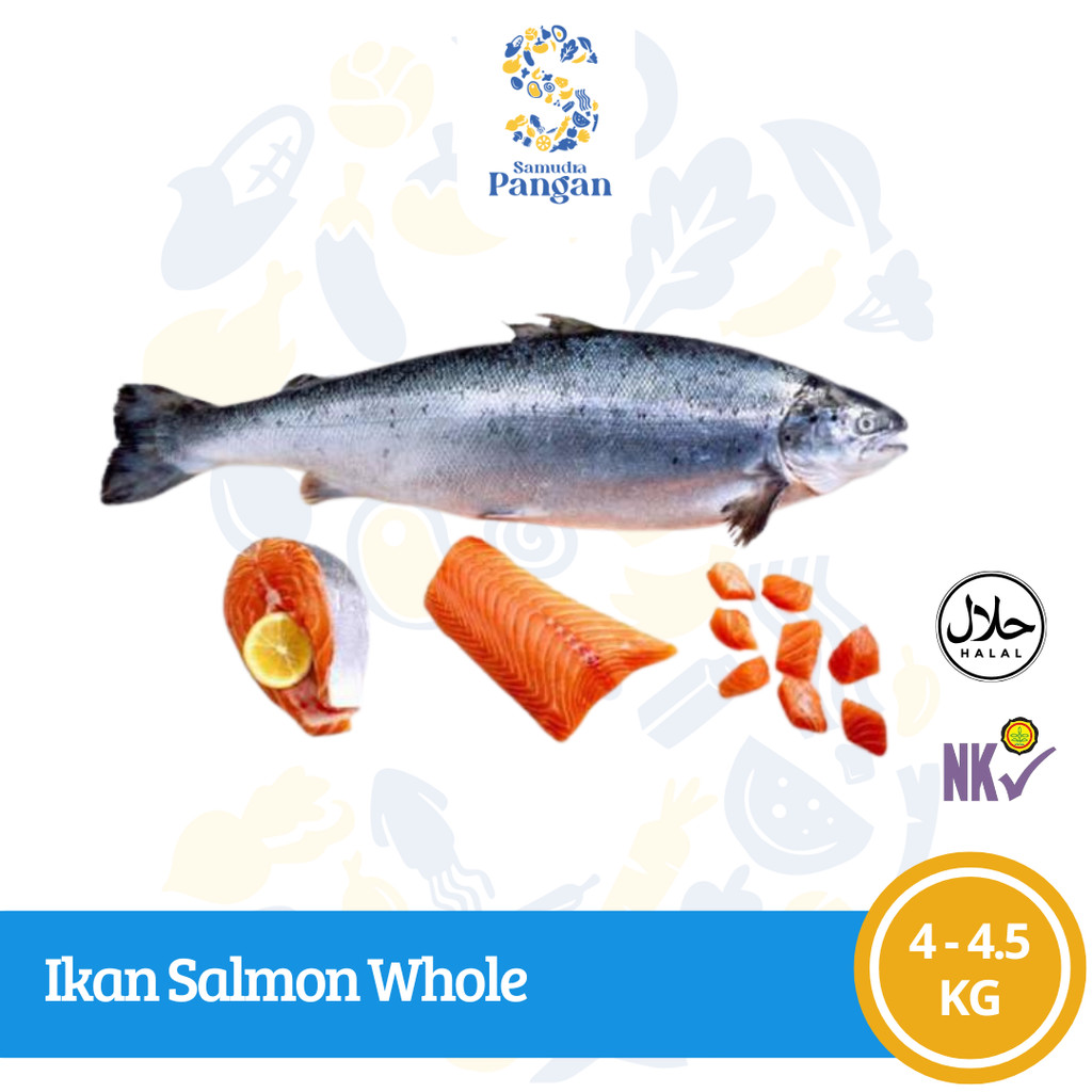 Ikan Salmon Utuh / Whole Salmon Segar Frozen 1 ekor