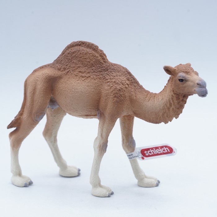Schleich 14832 Mainan Binatang Camel Dromedary Unta Arab Onta Satu Punuk One Hump Camel Camelus Drom