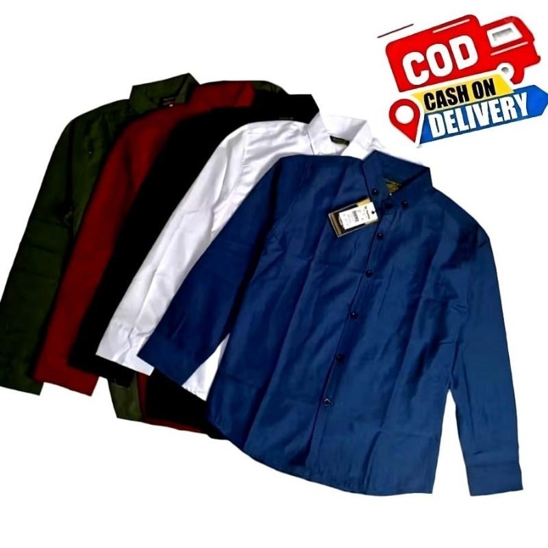 Kemeja Anak Laki laki Lengan Panjang Polos umur 1-14 Tahun Import Distro Kasual Bayi Cowok Warna Bir