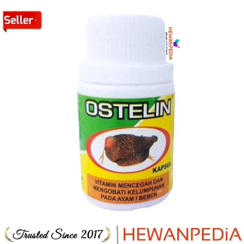 OSTELIN 50 KAPSUL EKA FARMA Hewanpedia - Obat Vitamin Lumpuh Ayam Unggas Bebek Burung Hewanpedia Oba