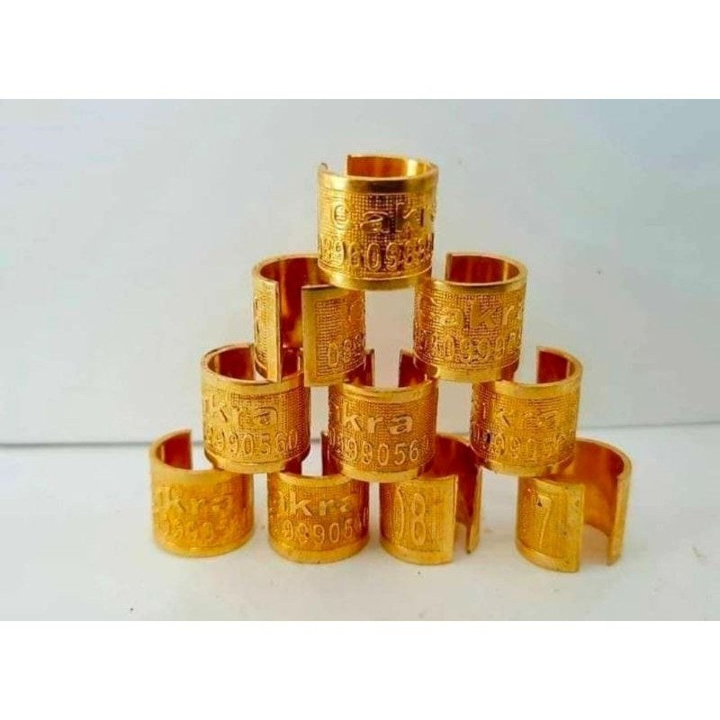 MURAH RING BURUNG UKIR TIMBUL BELAH COCOK BUAT MURAI PERKUTUT PUTER PELUNG MERPATI  DEWASA .