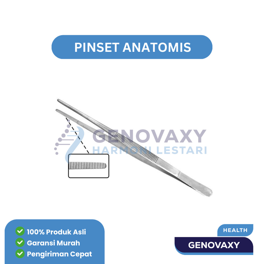 Pinset anatomis