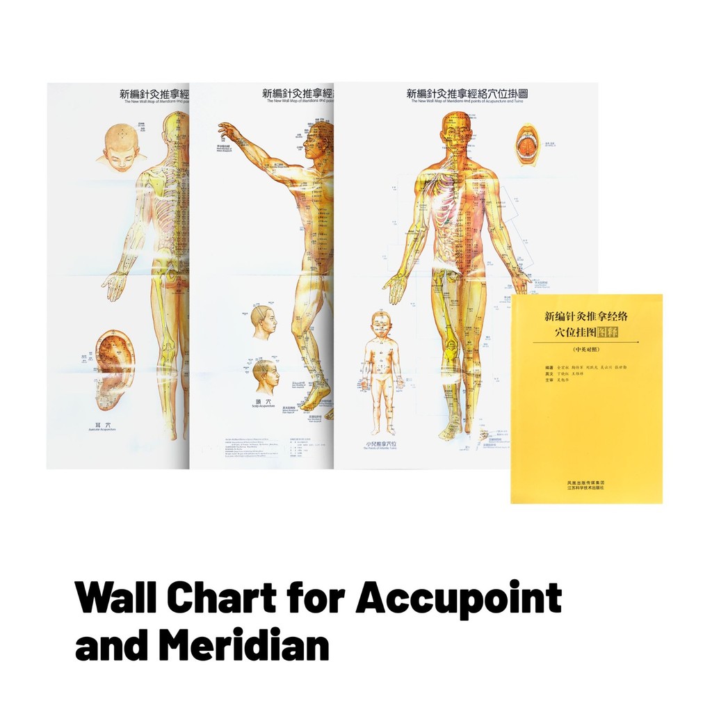 Wall Chart For Accupoint and Meridian - Gambar Poster Titik Akupuntur OC