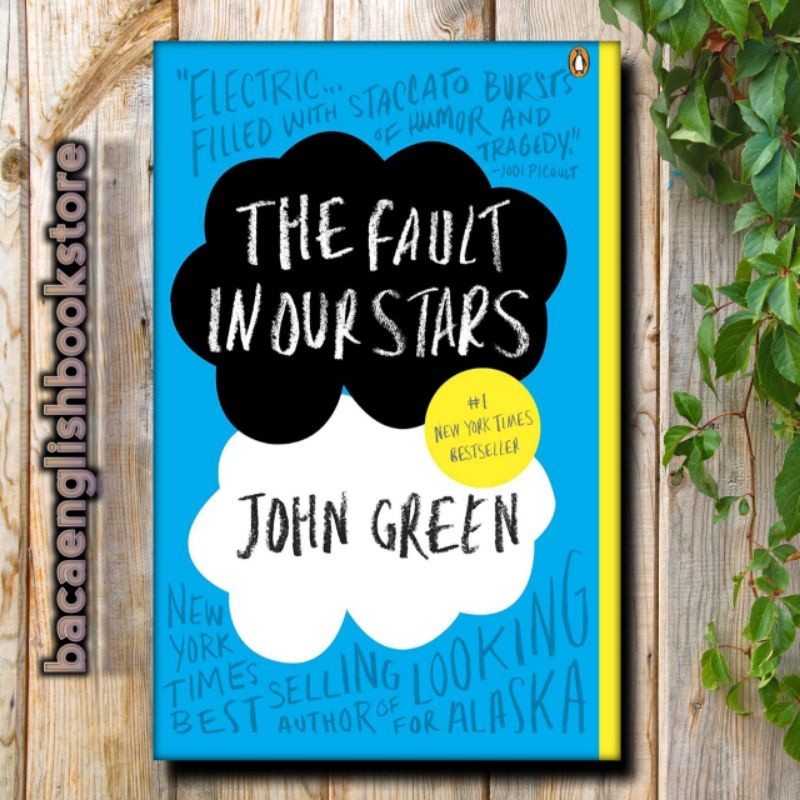 the fault in our stars