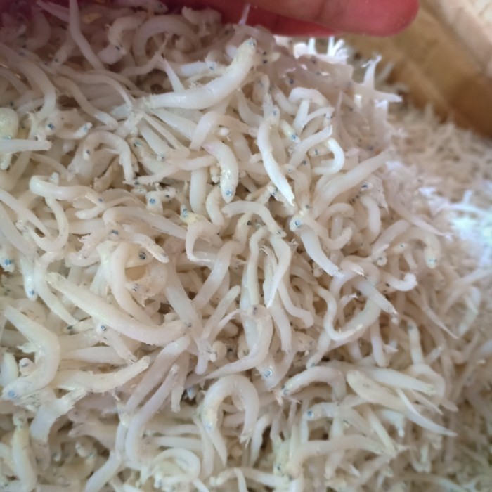 

✨TERLARIS -ikan asin teri Medan per 250gram