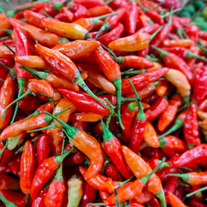 

✨TERLARIS -Cabe Rawit Merah Super 250gr - 1/4 kg