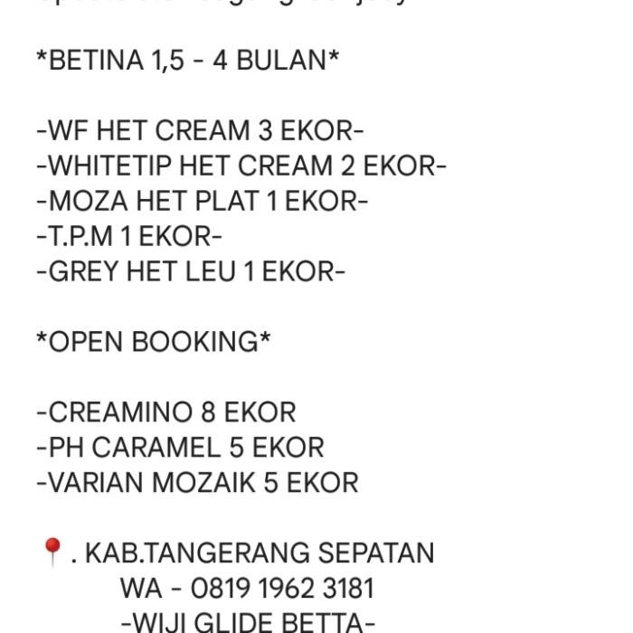 SALE -Sugar Glider Mozaik Platinum Betina Murah Garansi Het