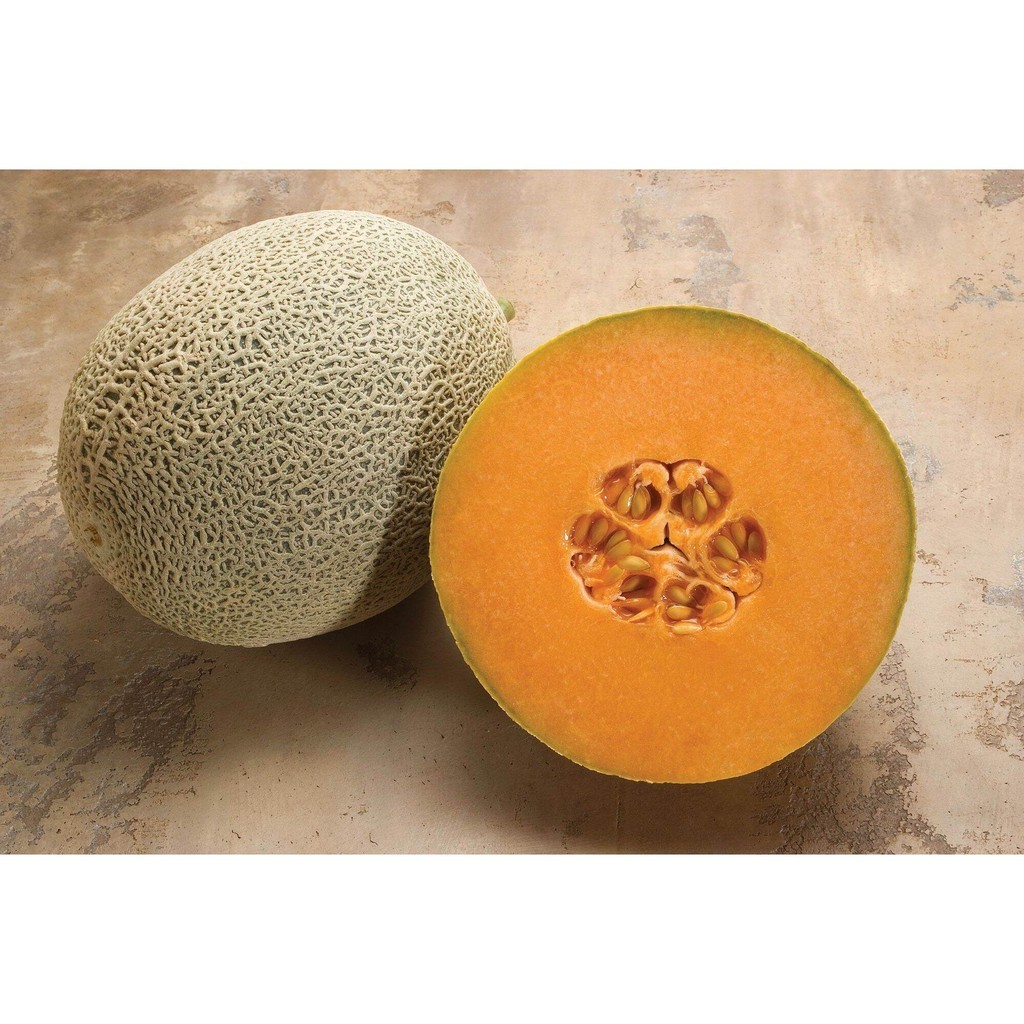 50 BUTIR BENIH MELON JEPANG GLAMOUR SAKATA