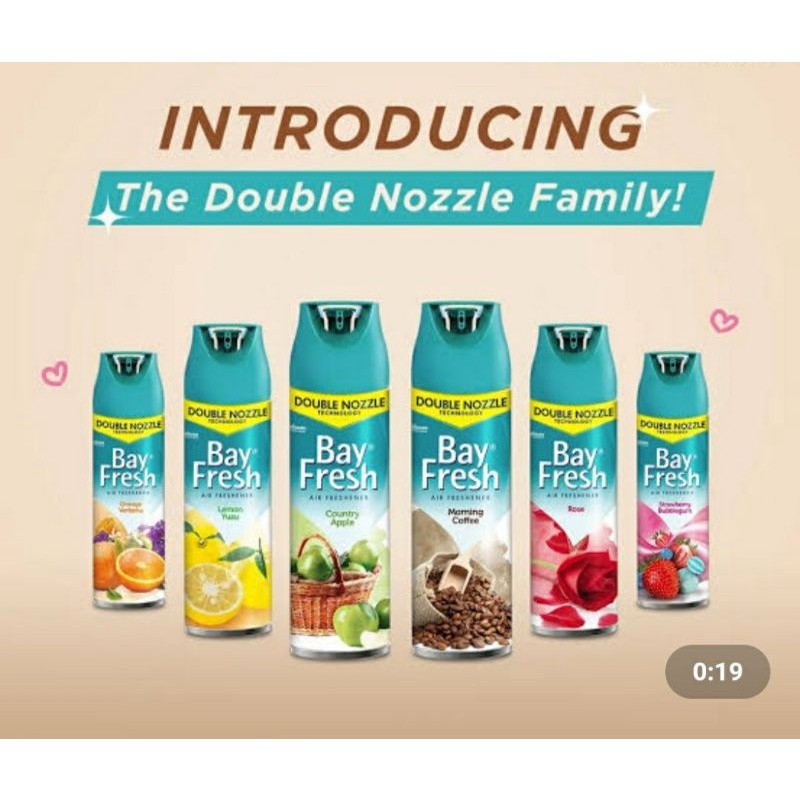 Bayfresh Aerosol 320ml