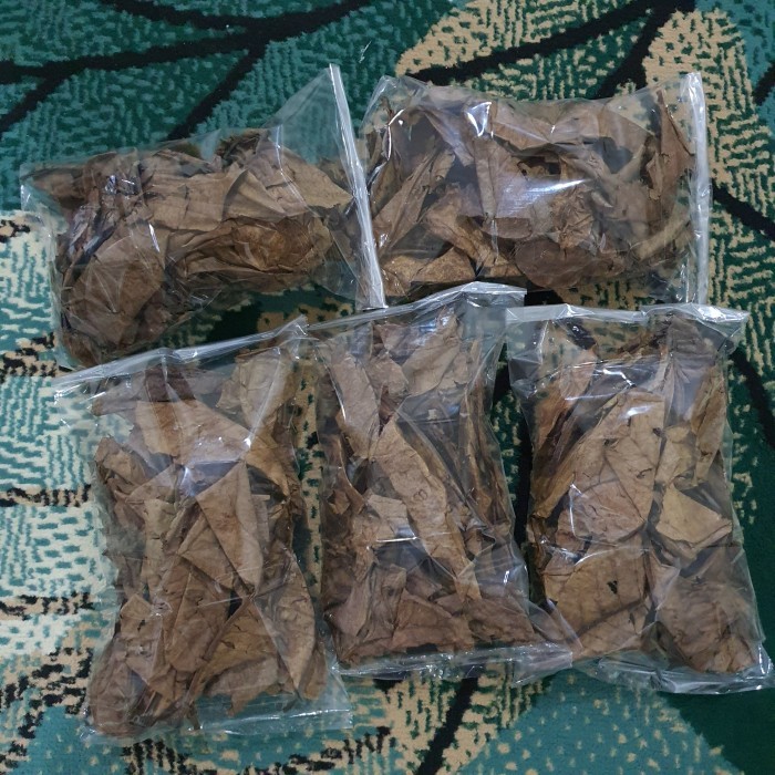 

Daun Ketapang 50g Laut Olahan Siap Pakai