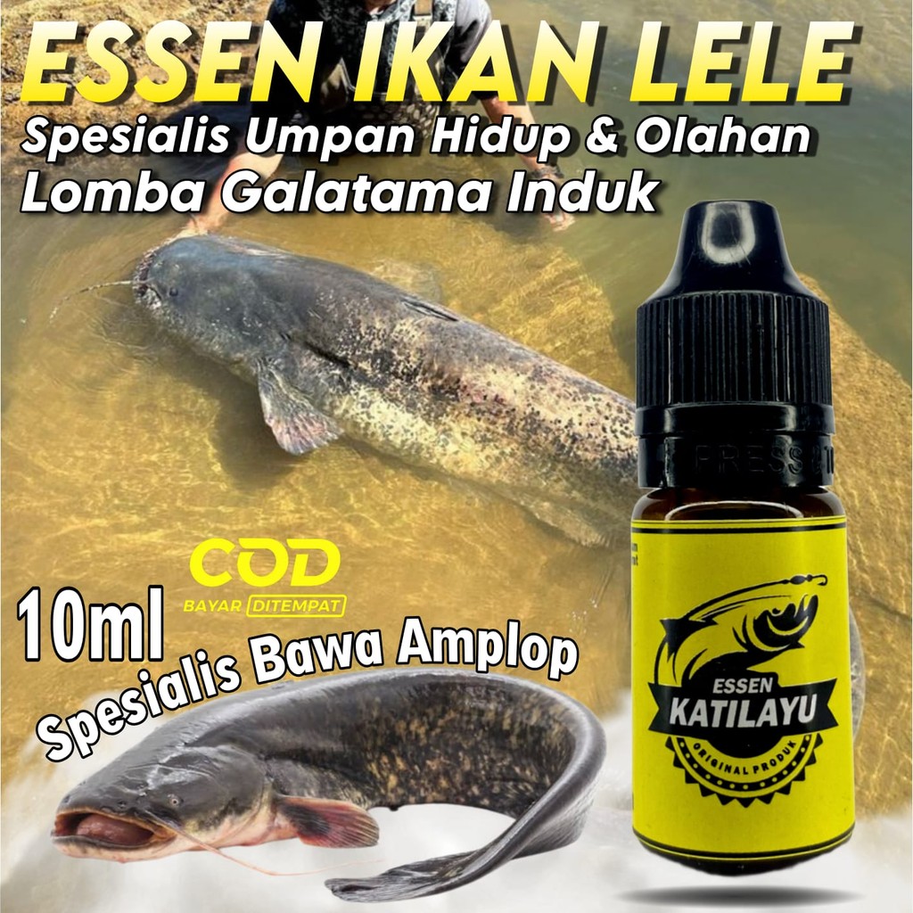 Essen Katilayu Khusus Ikan Lele Paling Bagus Essen Khusus Ikan Lele Paling Gacor Essen Khusus Ikan L