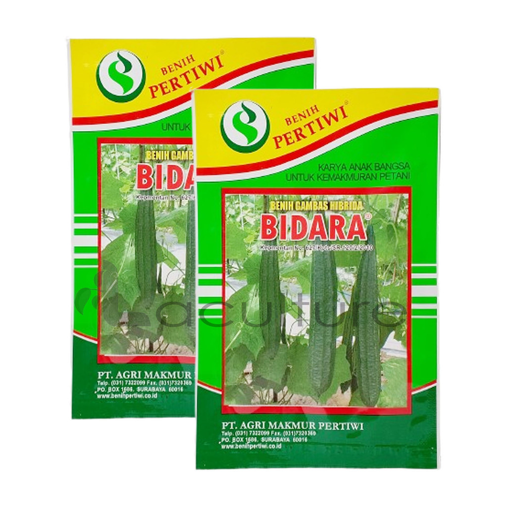 Benih Oyong Gambas Bidara F1 Isi 10 Gram Cap Benih Pertiwi