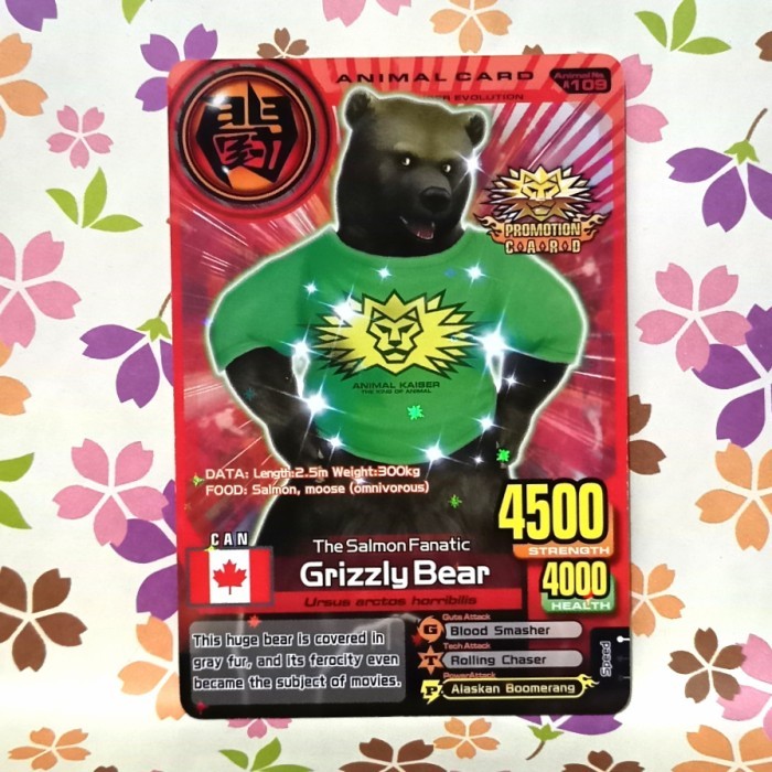 animal kaiser promotion card grizzly bear