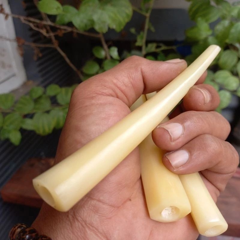 MAKRIFATBUSINESS Once Pipa Pipo Tulang Sapi Rasa Gading