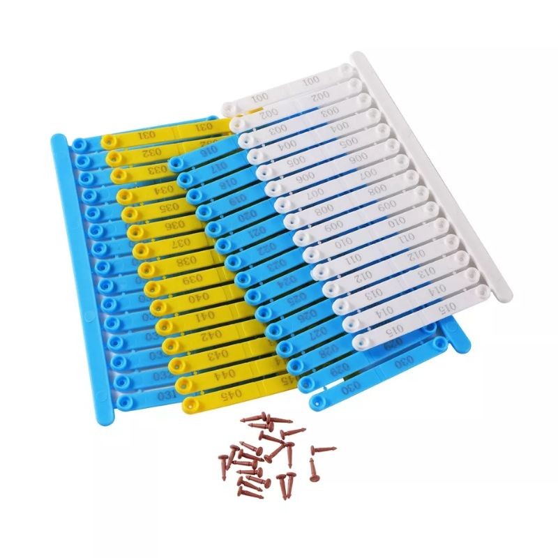 WING BAND AYAM IMPORT