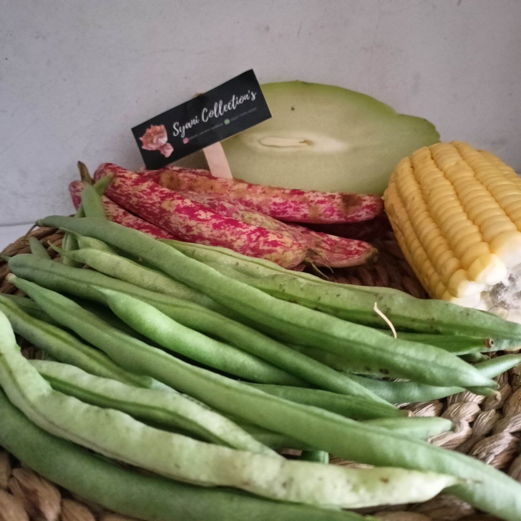 

paket lengkap sayur asam, siap masak dengan berbagai jenis sayuran segar yang lengkap