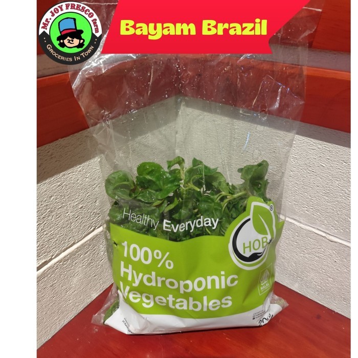 

ready stock sayur hidroponik tangsel bayam brazil brasil sayur organik tanpa bahan kimia