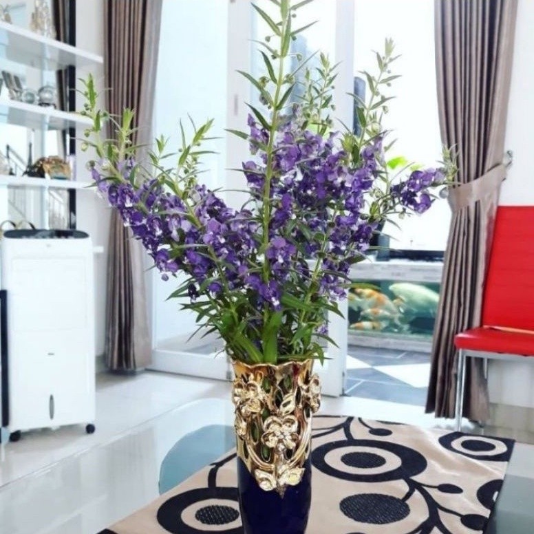( BISA COD ) Tanaman Bunga Lavender Asli Pengusir Nyamuk / Tanaman Hias Lavender Bunga Ungu & Putih 
