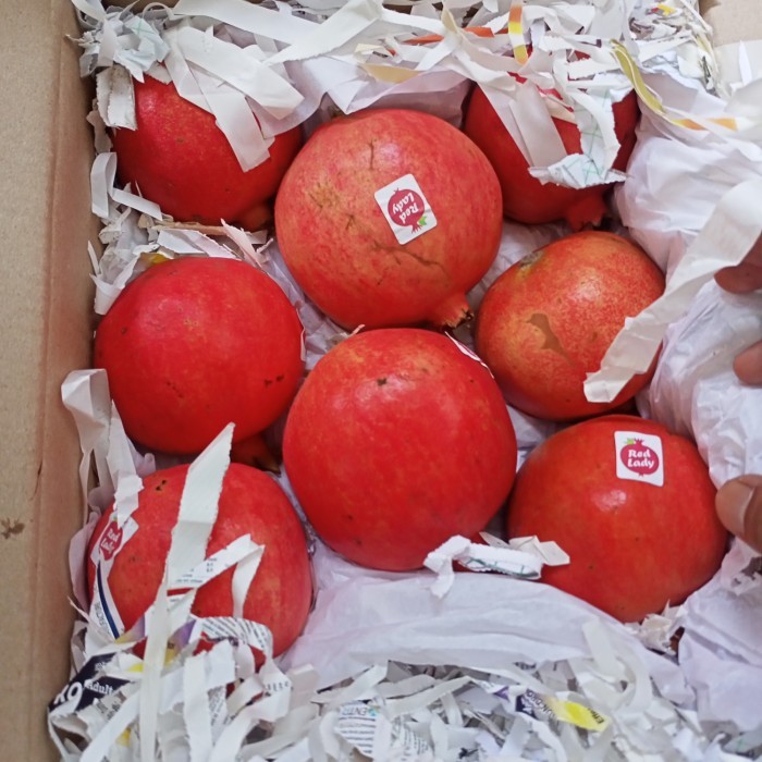 

Delima mera import India/perdus