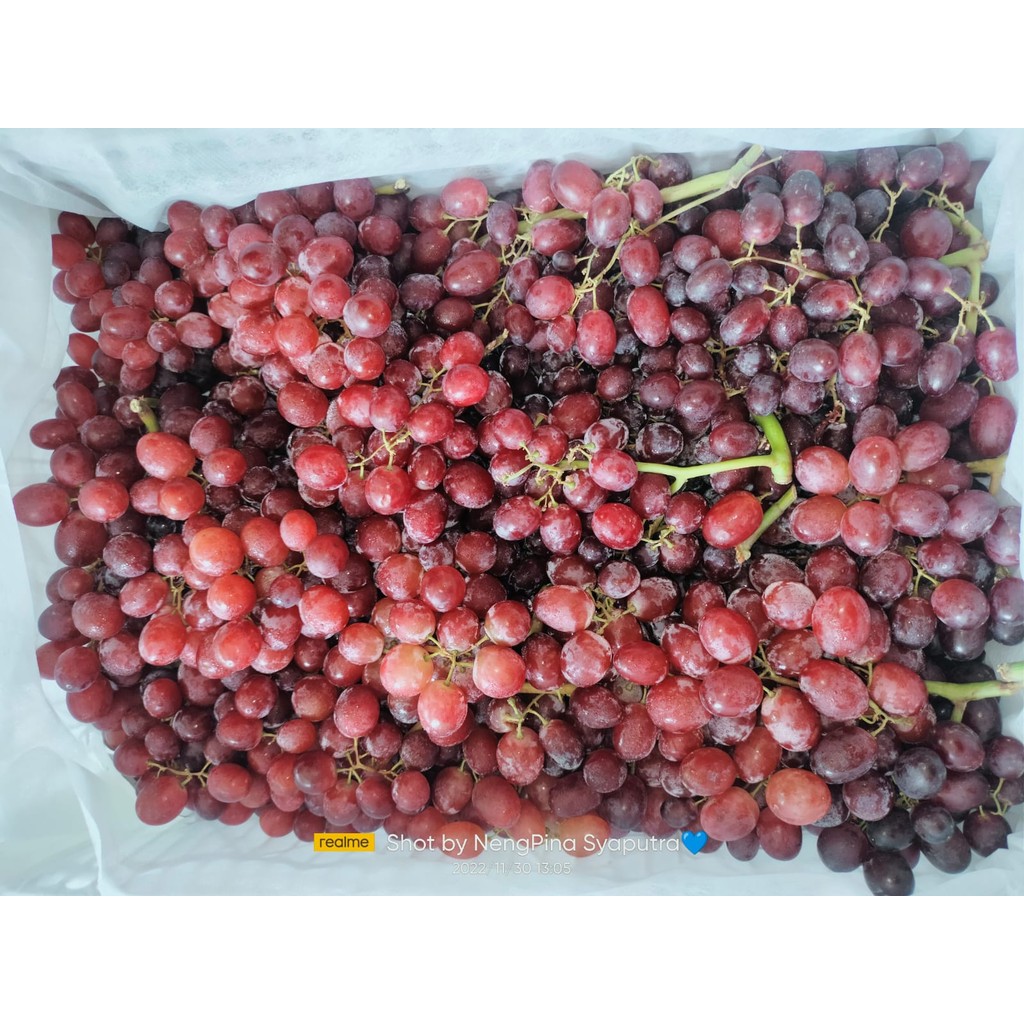 

Anggur Red Globe 500gr