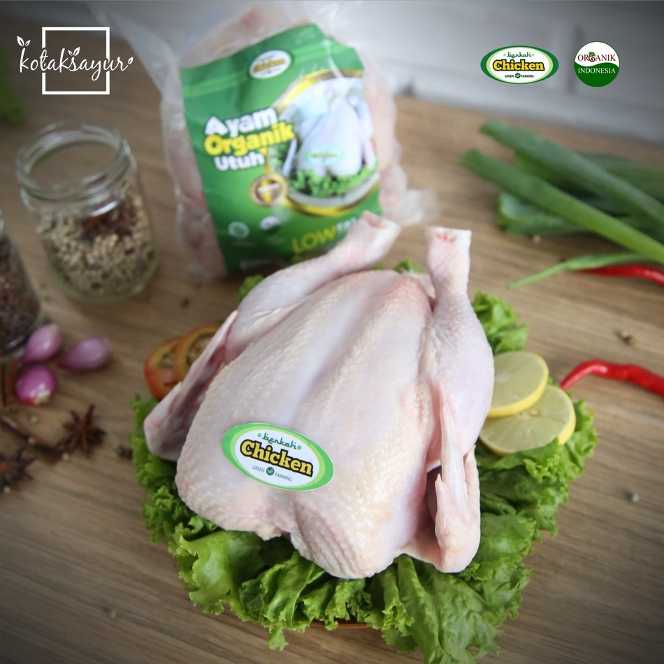 

Ayam Negeri Organik Berkah Chicken