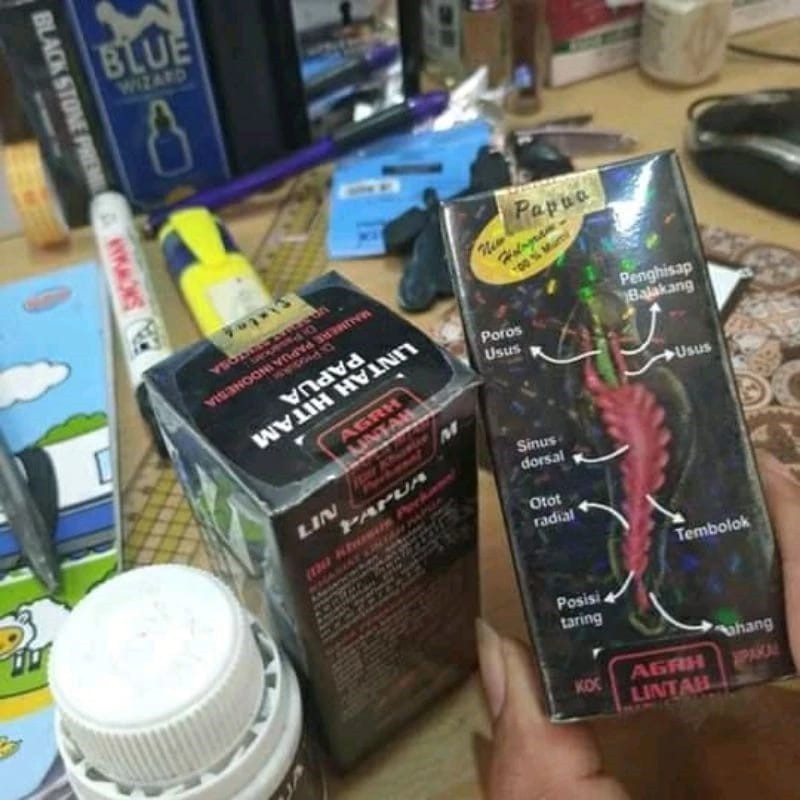 HERBAJANTAN - [privasi aman] MINYAK KEMASAN Privasi Aman Minyak Lintah Papua Hitam Asli Original Pem