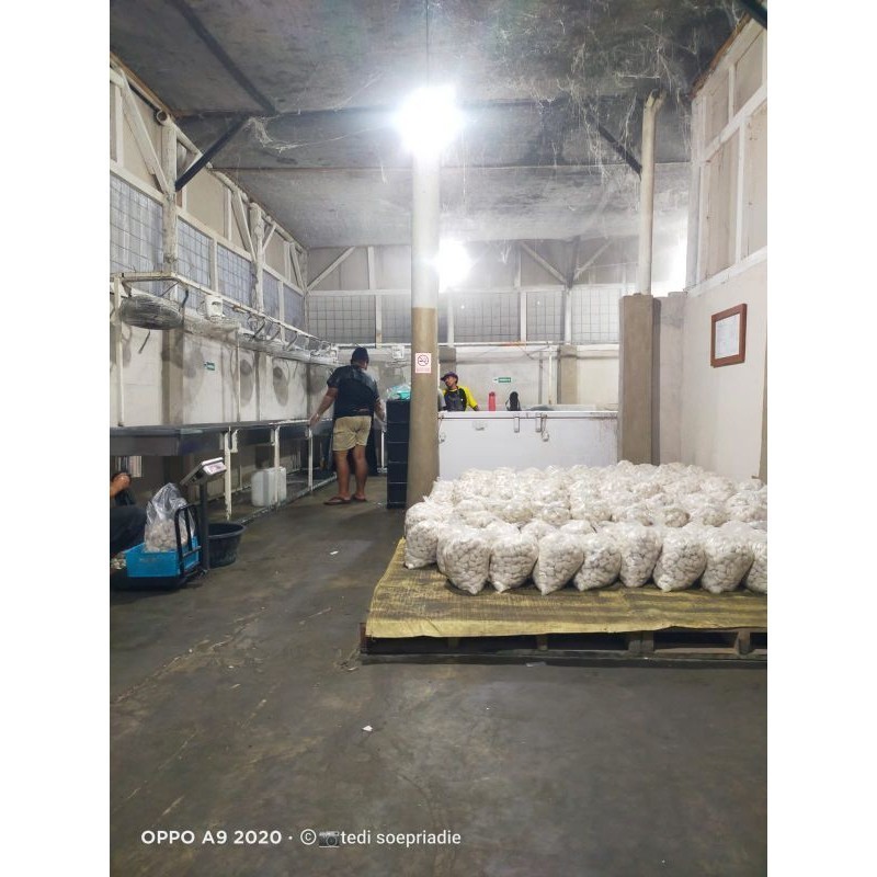 PROMO TERBARU Basreng Mentah Eceran, Kiloan, /Bal