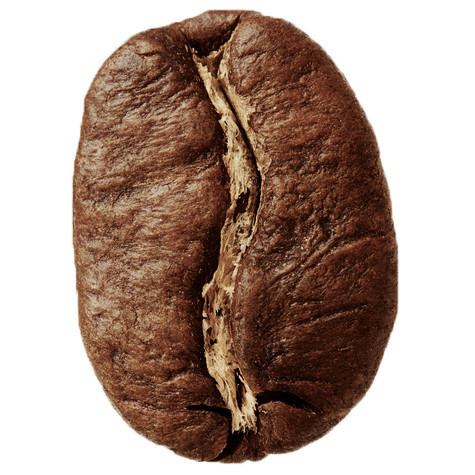 

Sumatra Gayo Natural Processed - Arabica Roasted Coffee Beans - Whole Beans