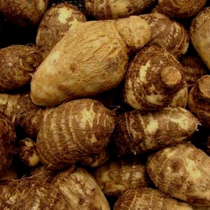 

umbi talas /talas kimpul/taleus kimpul - 500 gram
