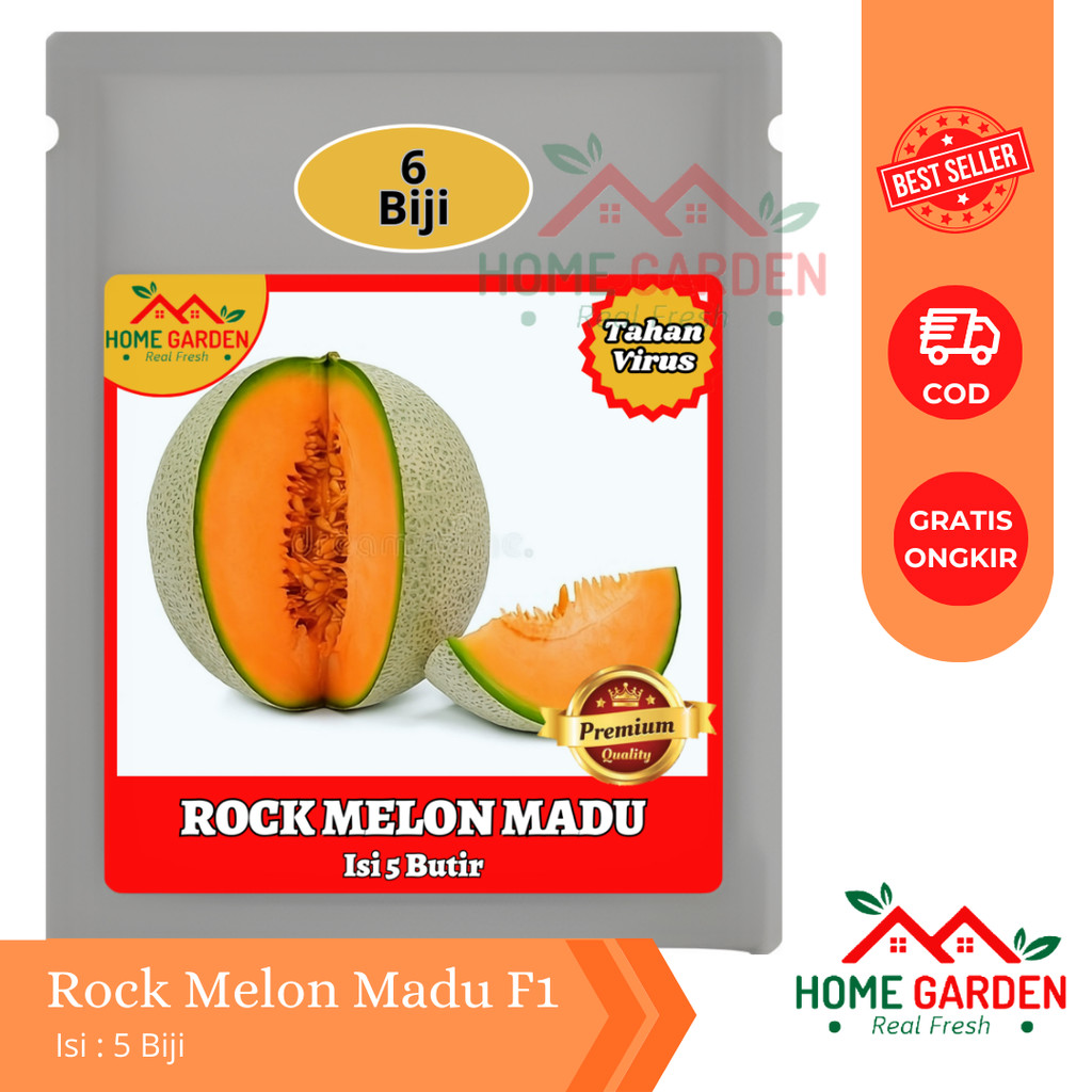 Benih Bibit Melon Cantoloupe Orange ROCK MELON MADU F1 Tahan Virus