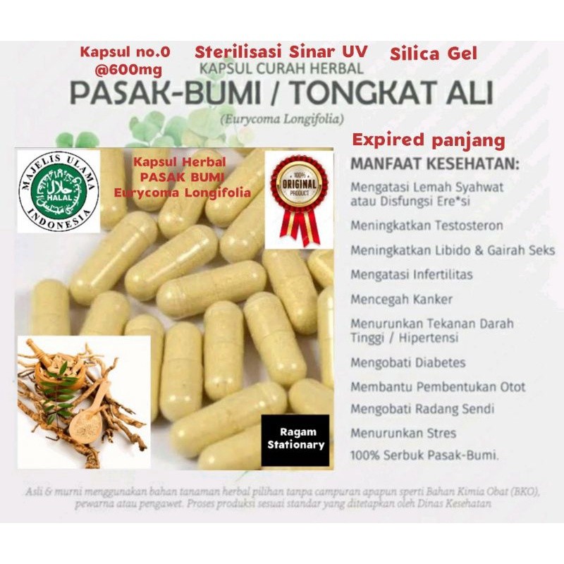 

Kapsul bubuk Pasak Bumi Tongkat Ali herbal jamu obat curah 100 butir