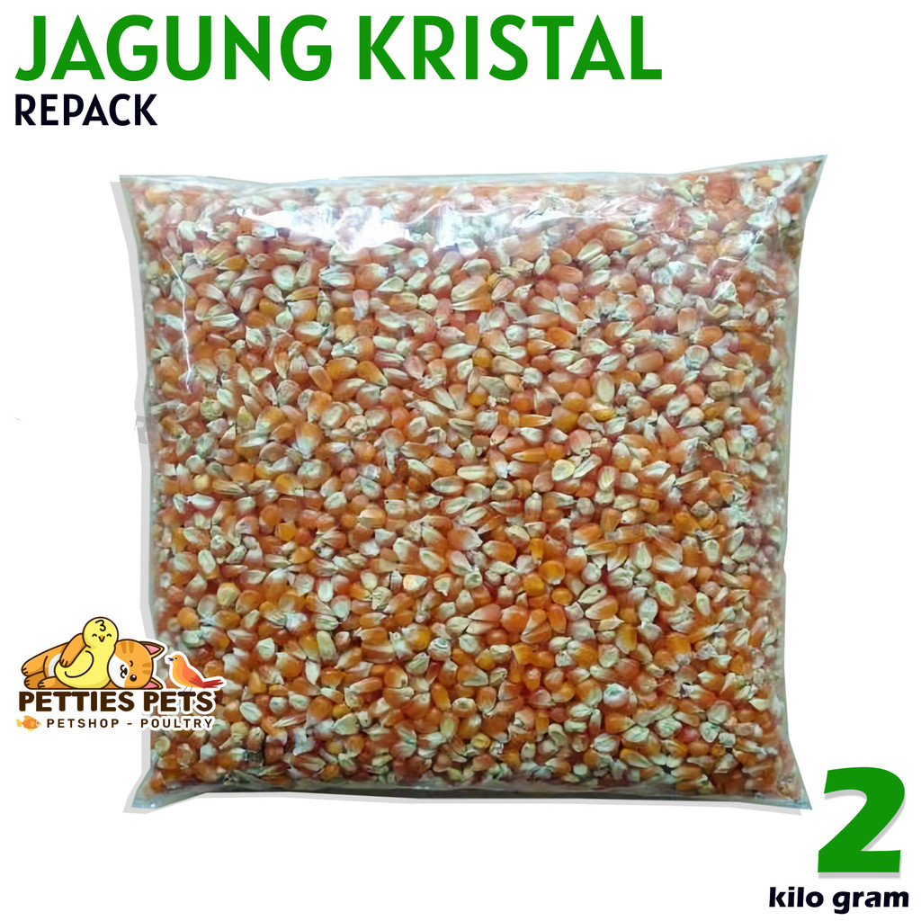 PTS JAGUNG KRISTAL MERPATI 2kg JAGUNG BURUNG DARA JAGUNG BURUNG MERPATI