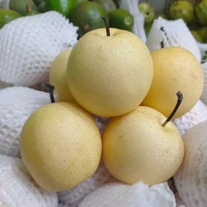 

Pir Century - Pear Century 500 gram
