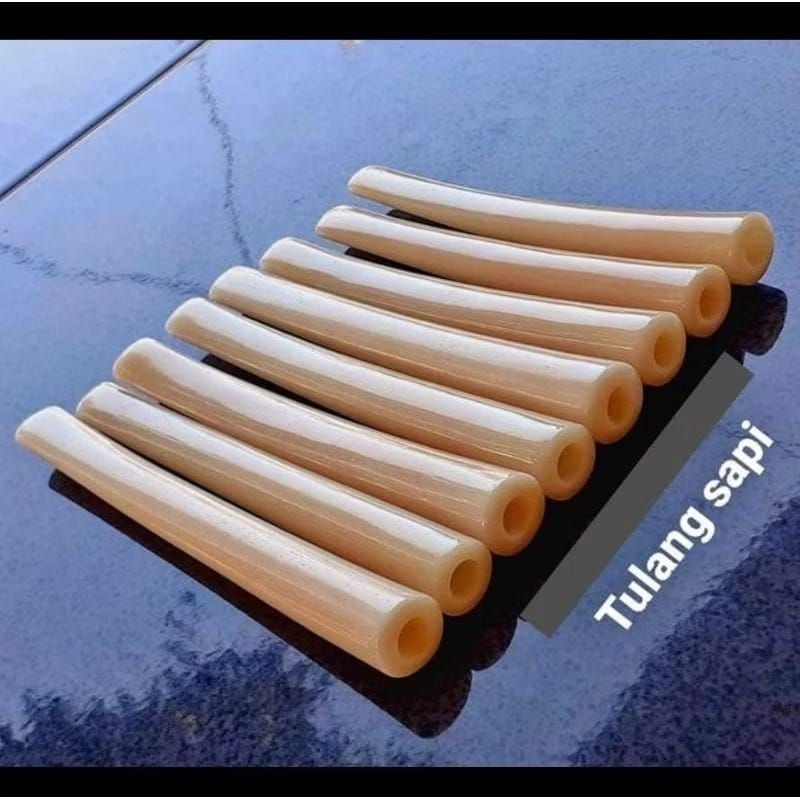 once tulang sapi model bulat super tebal