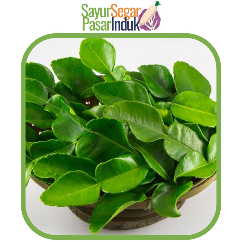

Daun Jeruk Purut 1 genggam 50 gr Sayur Segar Pasar Induk BRKAH