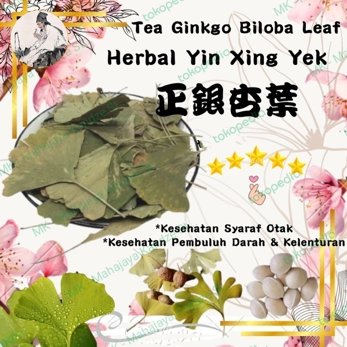 Teh Folium Ginkgo Leaf Super Ginkgo Biloba Ginko 銀杏叶 100 gram