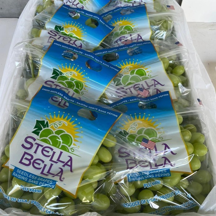 

Buah Fresh anggur hijau seedless GRAPES per dus fresh infort